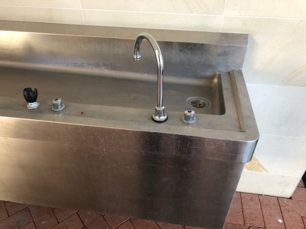 goose neck with push button on trough